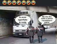 FB_IMG_1646204972564.jpg
