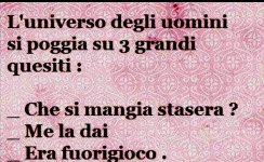 FB_IMG_1646497517317.jpg