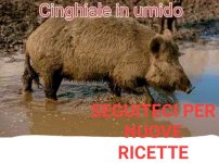 FB_IMG_1646495309766.jpg