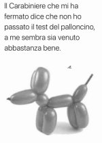 FB_IMG_1646469249058.jpg