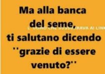 FB_IMG_1646587216975.jpg