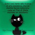 FB_IMG_1646563357436.jpg