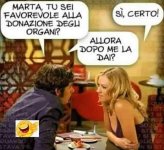 FB_IMG_1646563022095.jpg