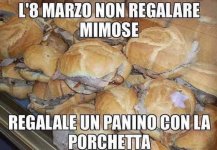 FB_IMG_1646665659375.jpg