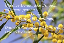 mimosa11.jpg