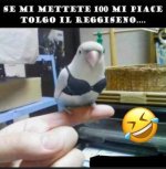 FB_IMG_1646413092724.jpg
