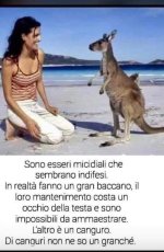 FB_IMG_1646413049910.jpg