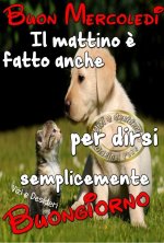 9b4b330adba7a5381490e2dd4878d38c.jpg