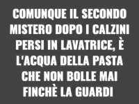 FB_IMG_1646842472849.jpg