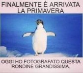 FB_IMG_1646842058583.jpg
