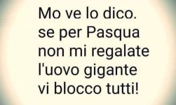 FB_IMG_1646842085835.jpg