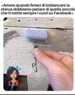 FB_IMG_1646919468106.jpg