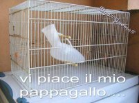 FB_IMG_1646909888456.jpg