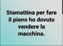 FB_IMG_1647004359988.jpg