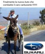 FB_IMG_1647281617533.jpg
