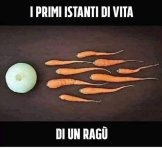 FB_IMG_1646767633216.jpg
