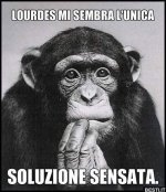 FB_IMG_1647453297607.jpg