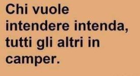 FB_IMG_1647517869895.jpg