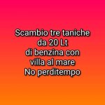 FB_IMG_1647617435254.jpg