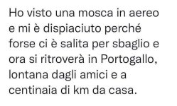 FB_IMG_1647588840662.jpg