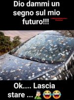 FB_IMG_1647774259734.jpg