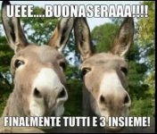 FB_IMG_1647512593280.jpg
