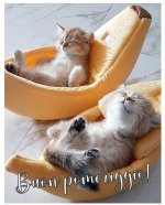 FB_IMG_1648161732225.jpg