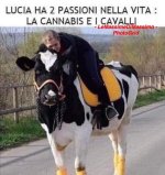 FB_IMG_1648319930710.jpg
