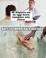 FB_IMG_1648208235895.jpg