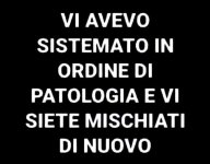 FB_IMG_1648645345592.jpg