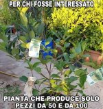 FB_IMG_1648729641773.jpg