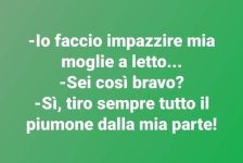 FB_IMG_1648729570515.jpg