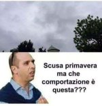 FB_IMG_1648707419022.jpg