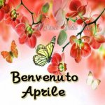 buon-1-aprile-frasi-immagini-1-420x420-1.jpg