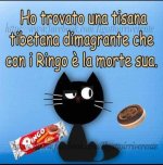 FB_IMG_1648815424653.jpg