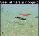 FB_IMG_1648814549473.jpg