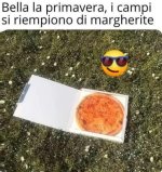 FB_IMG_1649007830599.jpg
