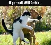 FB_IMG_1649007814873.jpg