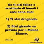 FB_IMG_1649074915406.jpg