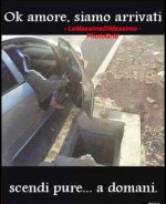 FB_IMG_1648894192229.jpg
