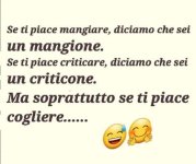 FB_IMG_1649168092581.jpg