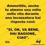 FB_IMG_1649250367873.jpg