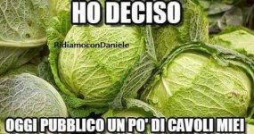 FB_IMG_1649316851006.jpg