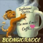 FB_IMG_1649364176541.jpg