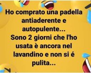 FB_IMG_1649420283765.jpg