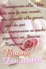 41a5d602976f0775fd255b7be7eef4e2.jpg