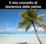FB_IMG_1649604668932.jpg