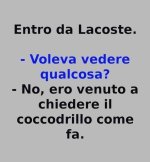 FB_IMG_1649589675029.jpg