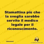 FB_IMG_1649658963269.jpg