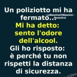FB_IMG_1649710318825.jpg